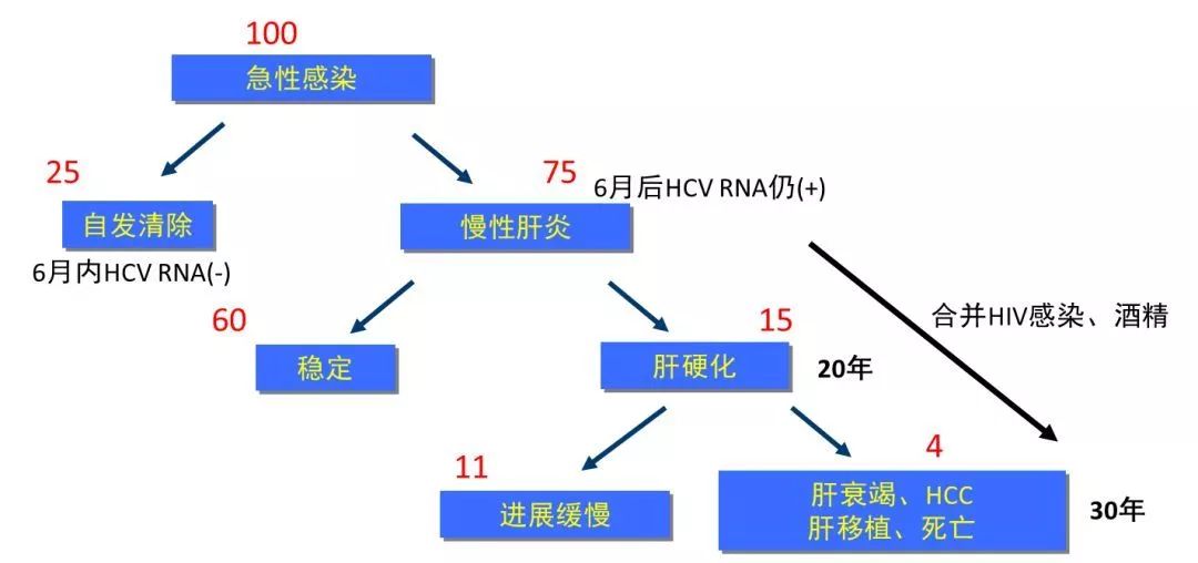 丙肝檢測(cè)的弱陽性究竟是不是感染了丙肝？